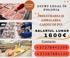 Polonia - Prelucrarea si ambalarea carnei de pui Бельцы мун.