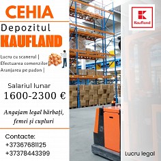 Чехия - Склад Kaufland Бельцы мун.