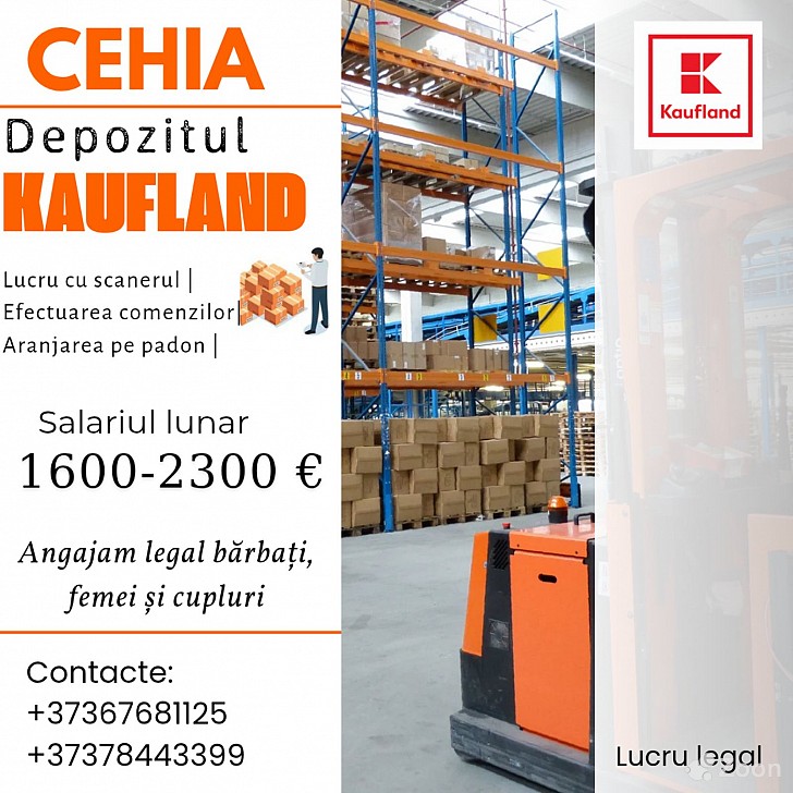 Чехия - Склад Kaufland Бельцы мун. - изображение 1