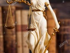 Защита по уголовным делам, развод, наследство Кишинёв мун.